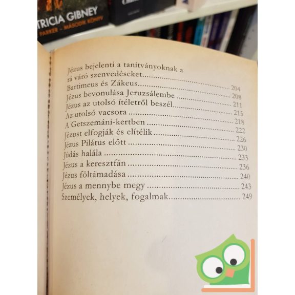 Nemere Ilona: Bibliai történetek gyerekeknek