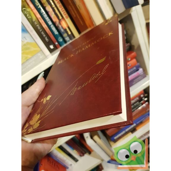 Wass Albert: Black Hammock (díszkötésben, 39. kötet)