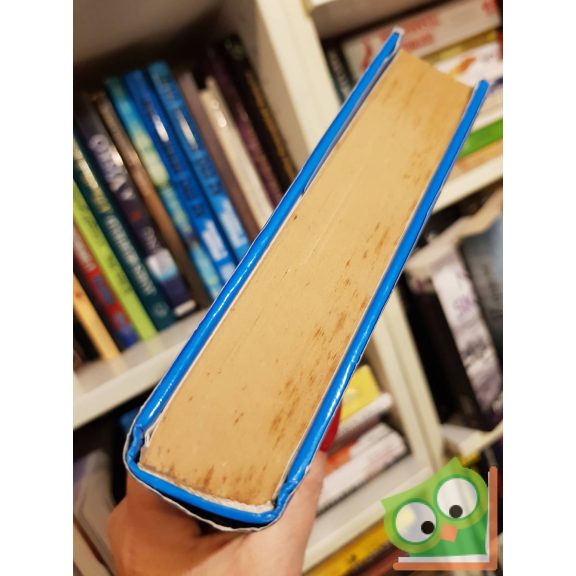 Jennifer Blake: Győztes ölelés