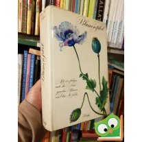 Ilsa Felsko: Blumenfibel  (Ritka!)