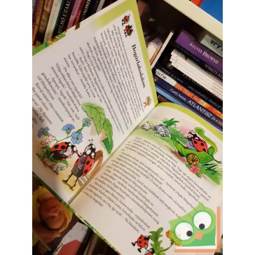 Eszes Hajnal: Bogaras mesék