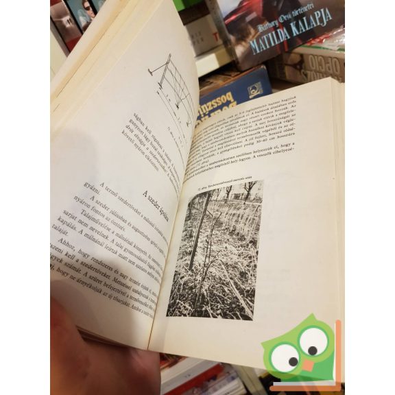 Dr. Papp János: Bogyósgyümölcsűek