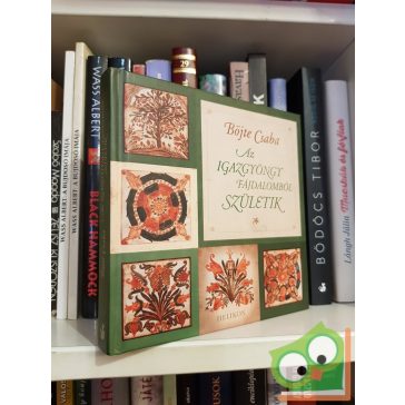 Böjte Csaba: Az igazgyöngy fájdalomból születik