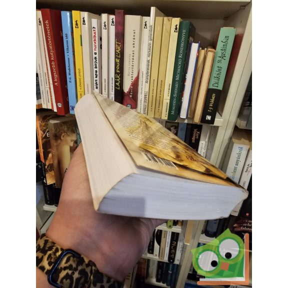 Philippa Gregory: A Boleyn örökség (A Tudorok 4.) (Ritka)