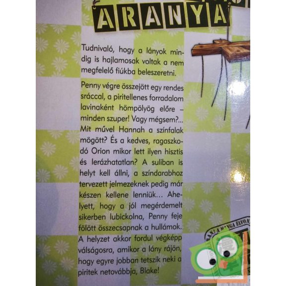 Amy Reeder Hadley: Bolondok aranya 2.  (Bolondok aranya 2.) (romantikus tini manga)