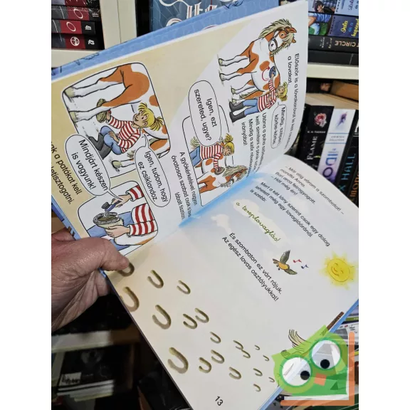 Julia Boehme: Bori és a vad póni (Olvass Borival!)