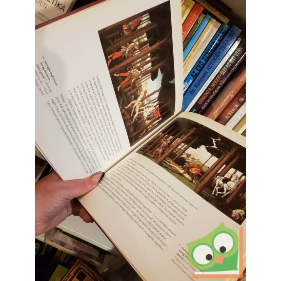 Botticelli (Világhíres festők 1.)