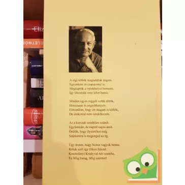 Bradányi Iván: Régi költők megtalálnak engem (versek)