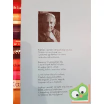   Bradányi Iván: Sapkám van már, süvegem még nincsen (versek)