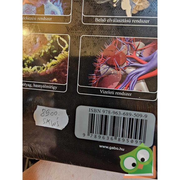 Sarah Brewer: Az ​emberi test (Bevezetés az emberi anatómiába) (fóliás)