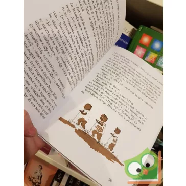 Bodó Béla: Brumi az iskolában