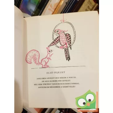 Bodó Béla: Brumi mint detektív