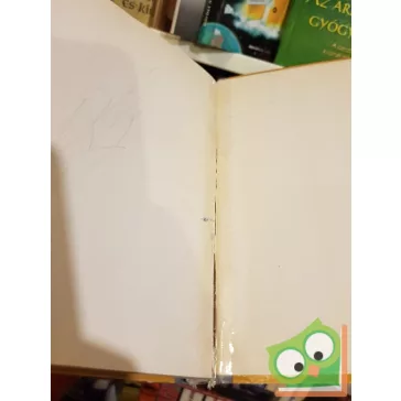 Bodó Béla: Brumi mint detektív