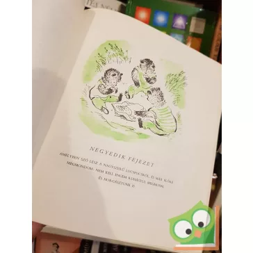 Bodó Béla: Brumi újabb kalandjai