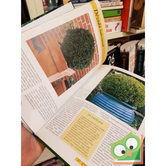 Katharina Adams: Bukszusok (Lépésről lépésre sorozat)