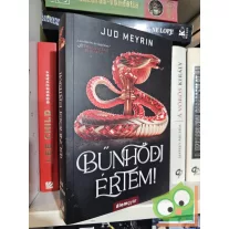 Jud Meyrin: Bűnhődj értem!