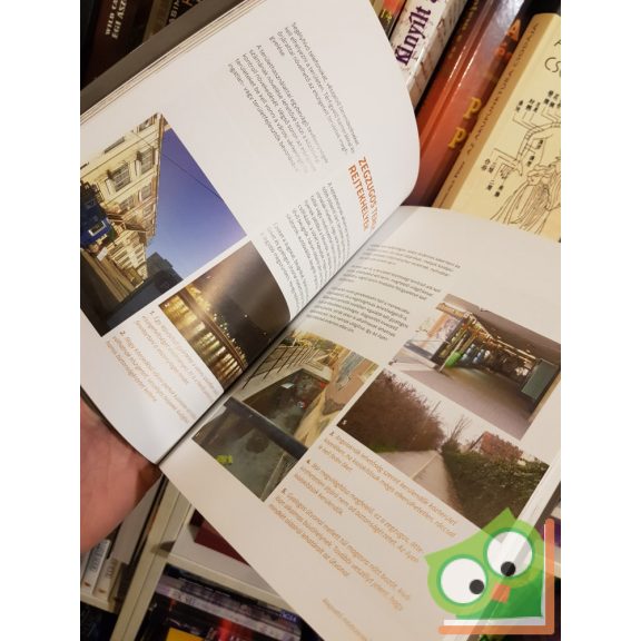 Kara László: Bűnmegelőzés építészeti eszközökkel (Ritka)