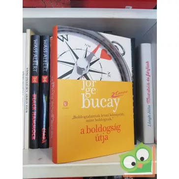 Jorge Bucay: A boldogság útja (Camino 4.)