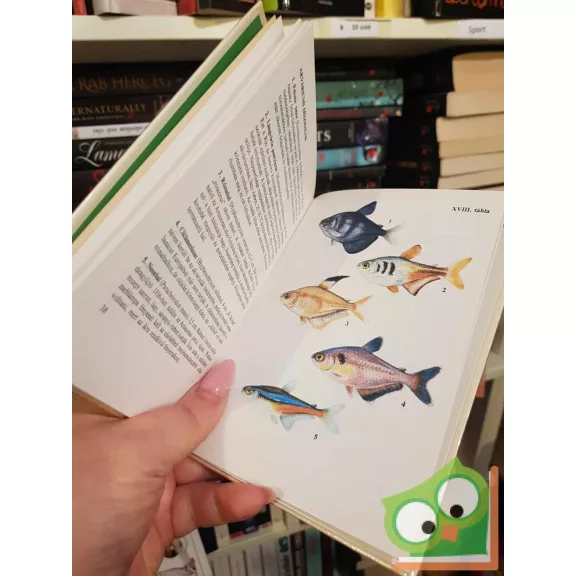 Wiesinger Márton: Halak (Búvár zsebkönyv)