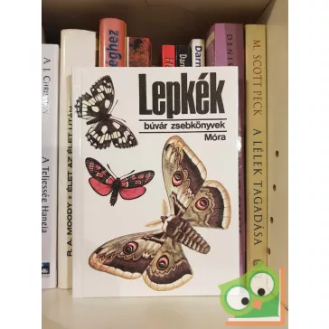 Kalmár Zoltán: Lepkék (Búvár zsebkönyv)
