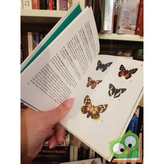 Mészáros Zoltán: Trópusi pillangók (Búvár zsebkönyv)