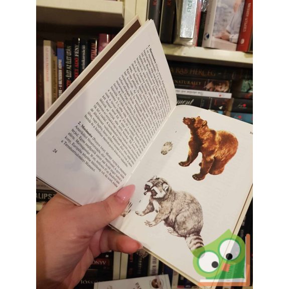 Patay László: Vadak (Búvár zsebkönyv)