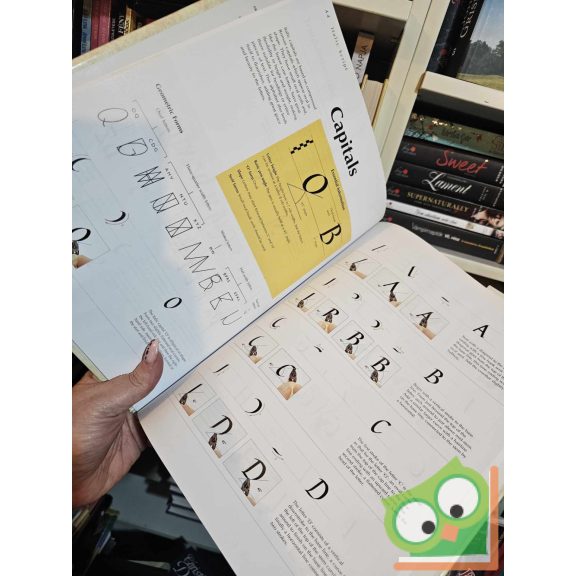 Annie Moring: Calligraphy: Stroke by Stroke