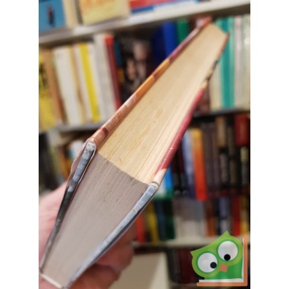 Jack Canfield (szerk.) - Mark Victor Hansen (szerk.): Megható ​történetek édesanyákról