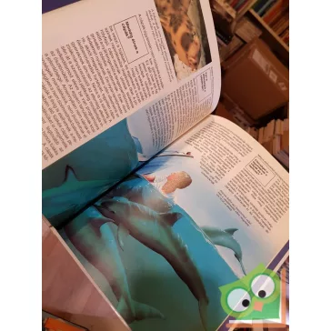 Vitus B. Dröscher: Cápák és ráják (Mi Micsoda 24.)