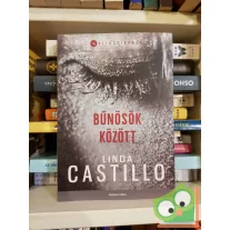   Linda Castillo: Bűnösök ​között (Kate Burkholder 8.) (Világsikerek sorozat)