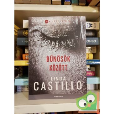   Linda Castillo: Bűnösök ​között (Kate Burkholder 8.) (Világsikerek sorozat)
