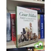 Cesar Millan, Melissa Jo Peltier: Amit a falkától tanultam
