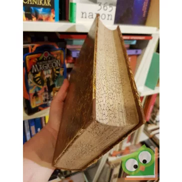   Liebermann Leó, Bugarszky István: Chemia (Tankönyv egyetemi és főiskolai hallgatók számára)