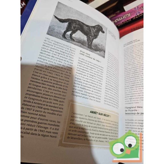 André Le Gall: Chiens de France - un patrimoine, un art de vivre (Francia)