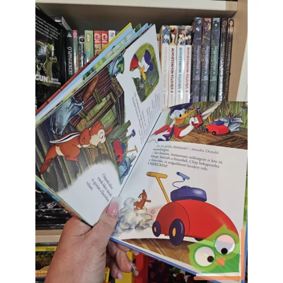 Walt Disney - Chip és Dale - Kacsalábon forgó mókuspalota (Disney könyv klub)