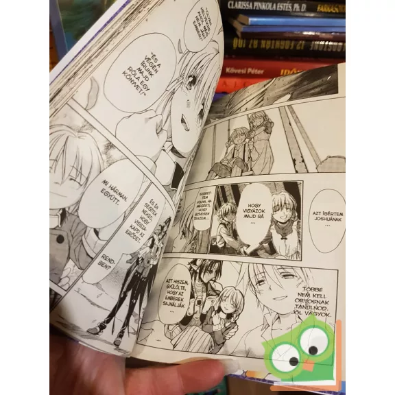 Daisuke Moriyama: Chrno Crusade Vol 2. (magyar nyelvű manga)