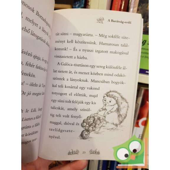 Daisy Meadows: Cincogi elszökik (Varázslatos Állatbirodalom 2.)