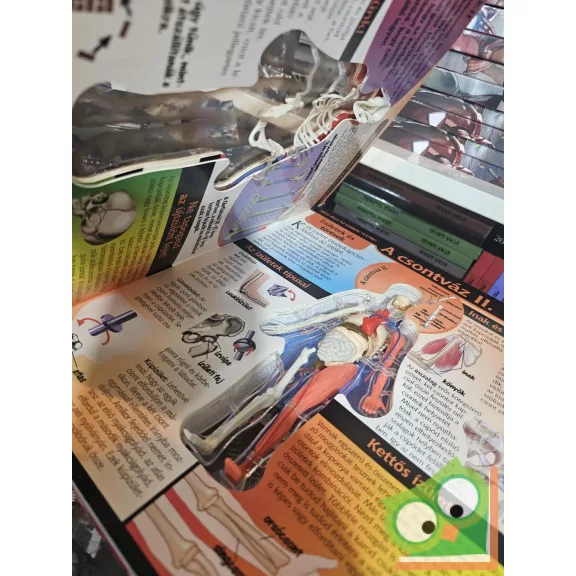 Luann Colombo: Emberi test (Nézz bele!)