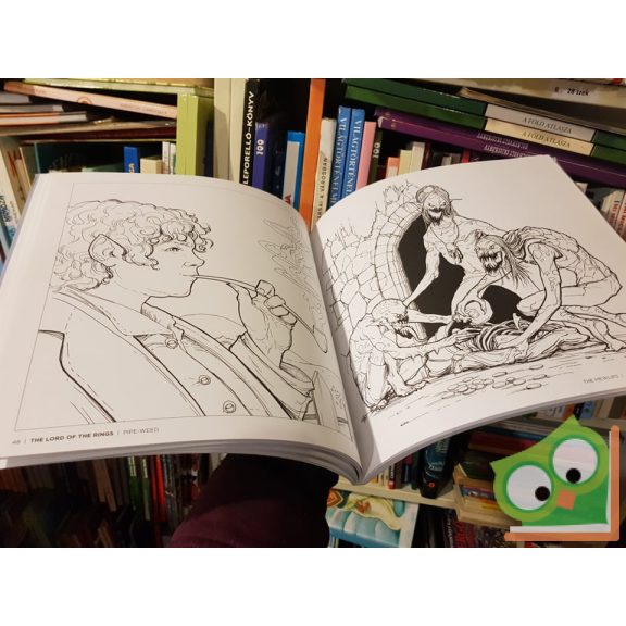 Tolkien's World A Colouring book (Ritka)