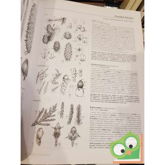 Debreczy Zsolt - Rácz István: Conifers Around the World 1. (ritka)