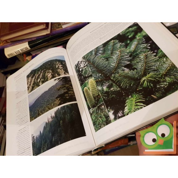 Debreczy Zsolt - Rácz István: Conifers Around the World 1. (ritka)