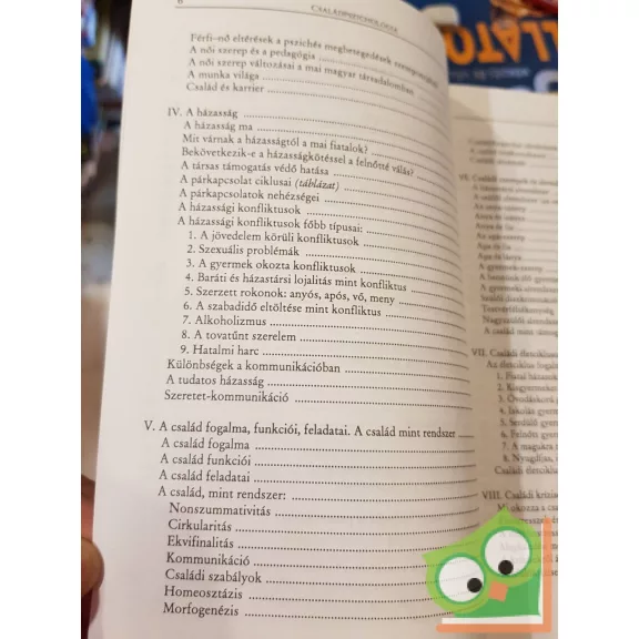 Hegyiné Ferch Gabriella: Családpszichológia (ritka)