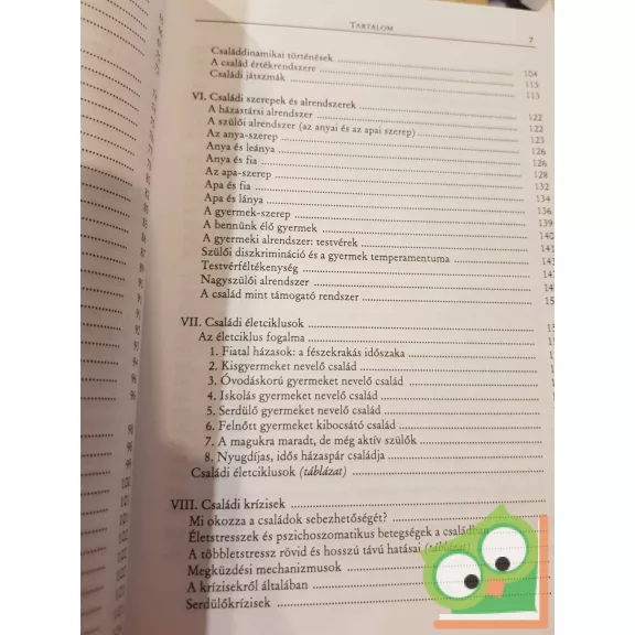 Hegyiné Ferch Gabriella: Családpszichológia (ritka)