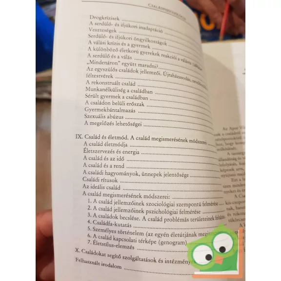 Hegyiné Ferch Gabriella: Családpszichológia (ritka)