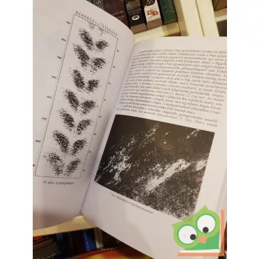   Gábris Gyula, Marik Miklós, Szabó József: Csillagászati földrajz  (Ritka)