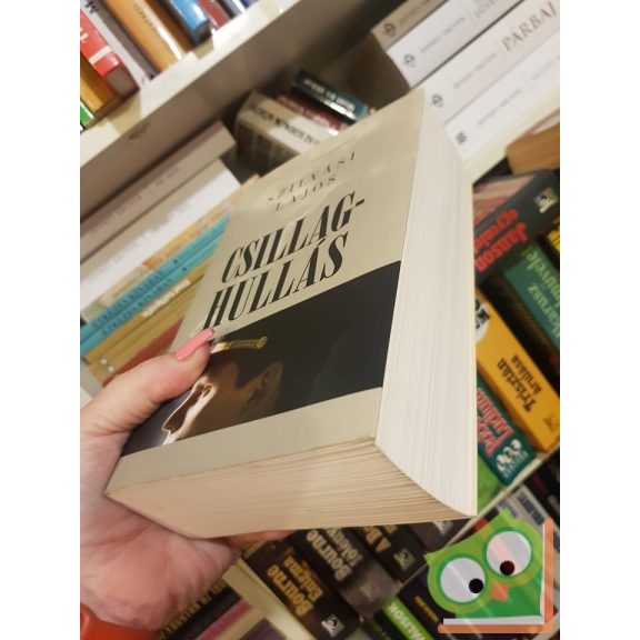 Szilvási Lajos: Csillaghullás