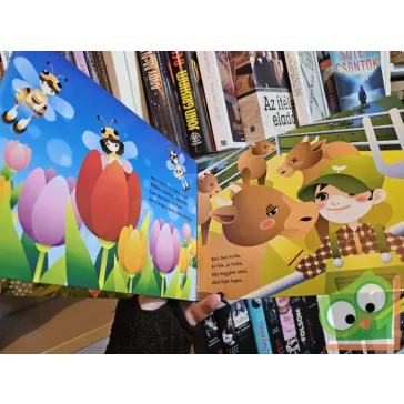 Csirif, csuruf, csif, csúf ( leporello)