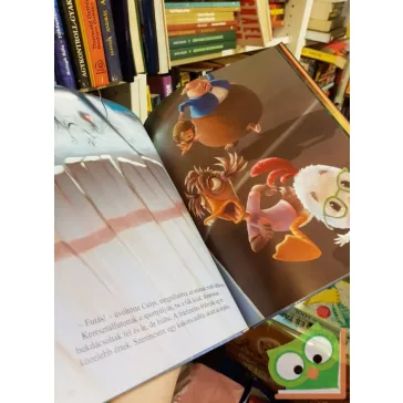 Walt Disney  Csodacsibe (Ritka)