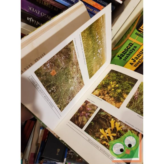 Tudor Opris: Csodálatos növényritkaságaink