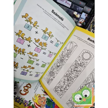   Csörgő Anikó, Füzesi Zsuzsa: Zöld könyv (Csodaország) (ritka)